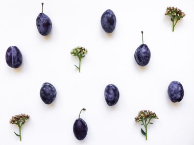 Renkli desen taze mor Erik ve çiçek. Düz yatıyordu