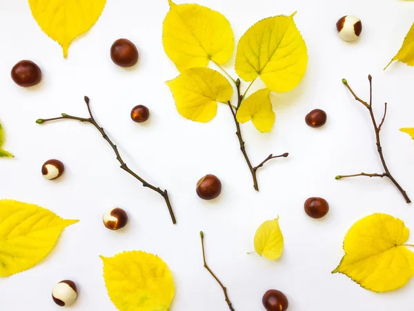 Detailní sady podzimu žluté listy, kaštany a větví. Pohled shora, plochá ležel — Stock fotografie