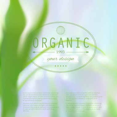 Kurumsal Web sitesi tasarımı