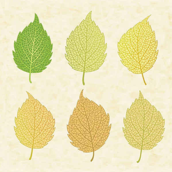 Barevné vektorové podzimní listí — Stockový vektor