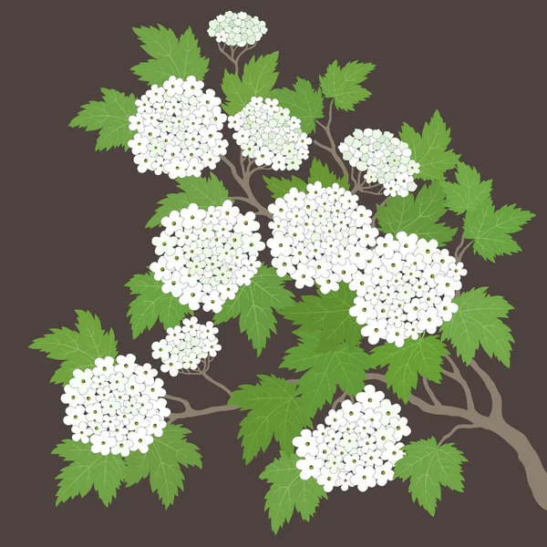 Frühlingskarte mit weißen Blumen — Stockvektor