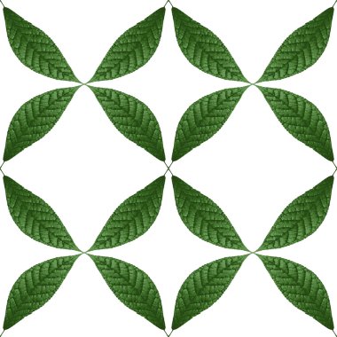 yaprakları ile sorunsuz illüstrasyon