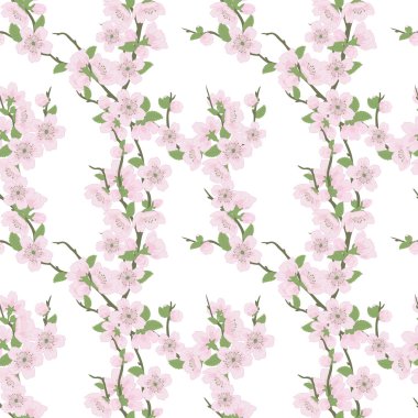 zarif seamless modeli