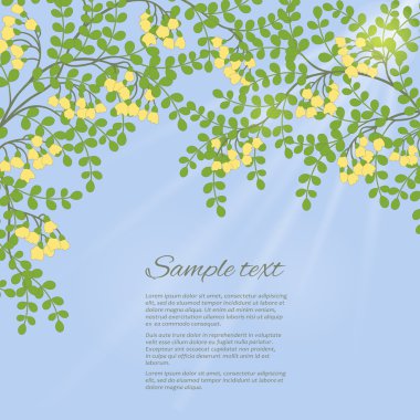 Yaprak ve çiçek bahar kartıyla