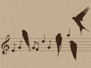 Kuşlar ile müzik notlar