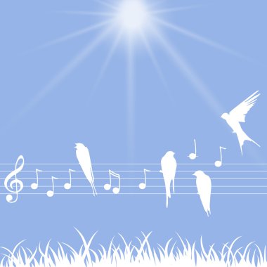 Kuşlar ile müzik notlar