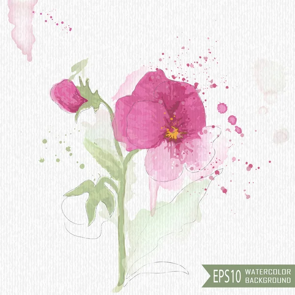 Mooie aquarel illustratie van bloemen — Stockvector