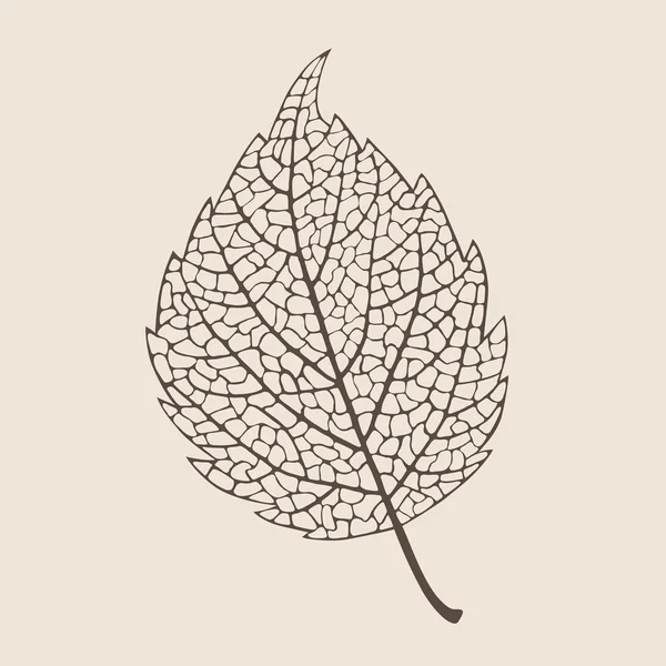 Elegance birch leaf — Stock vektor