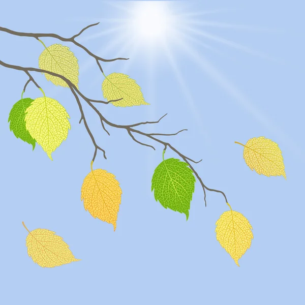 Φύλλα ενάντια στον ουρανό — Διανυσματικό Αρχείο