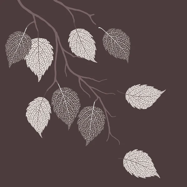 Feuilles d'automne sur un arbre — Image vectorielle