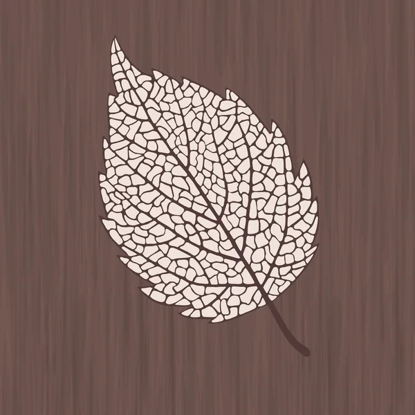 Elegance birch leaf — Stock vektor