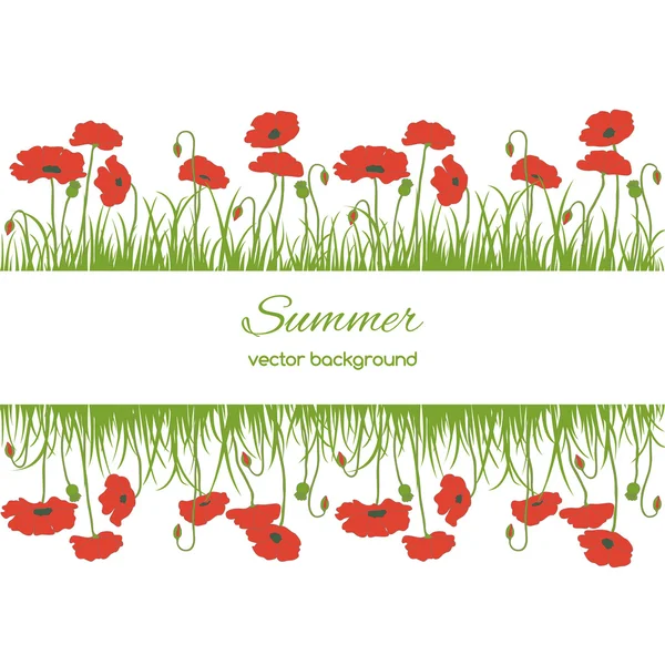 Tarjeta de primavera con hierba y amapolas — Vector de stock