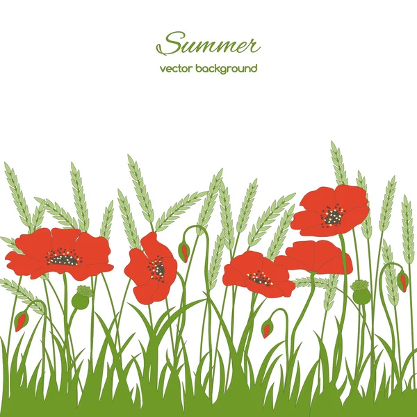 Cartão de primavera com grama e papoilas — Vetor de Stock