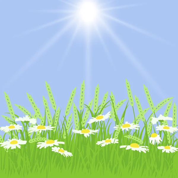 Våren kort med gräs och blommor — Stock vektor