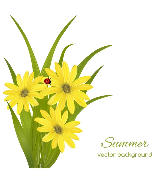 Carta primavera con erba — Vettoriale Stock