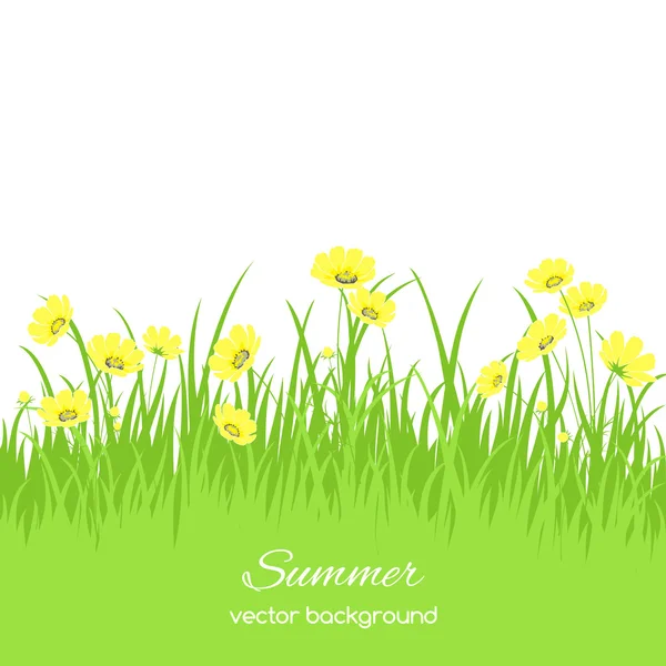 Voorjaar kaart met gras en bloemen — Stockvector