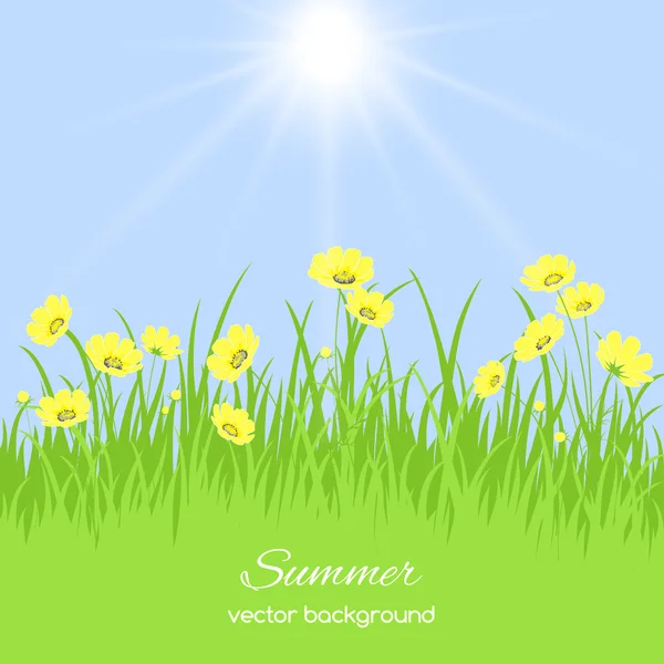 Voorjaar kaart met gras en bloemen — Stockvector