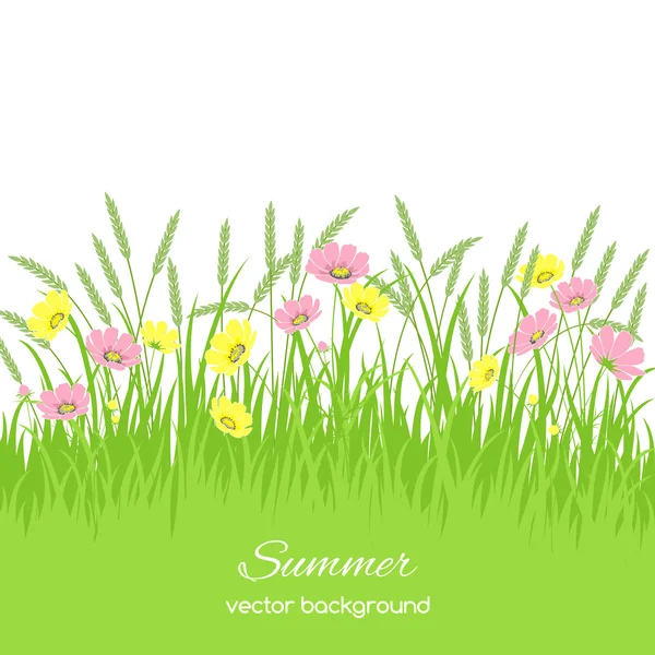 Voorjaar kaart met gras en bloemen — Stockvector