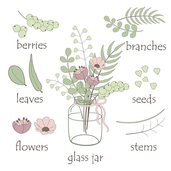 Glass vases and elements of botany — Stock Vector