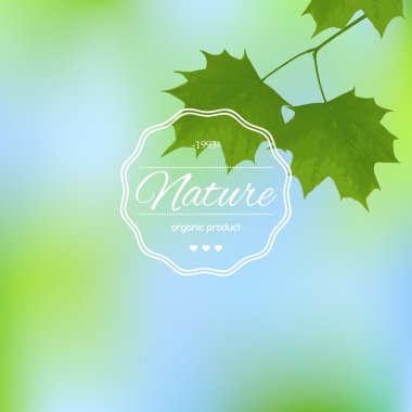 akçaağaç arka plan bulanık yapraklarda.