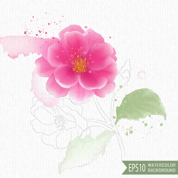 Watercolor flower on a white background — Stock Vector