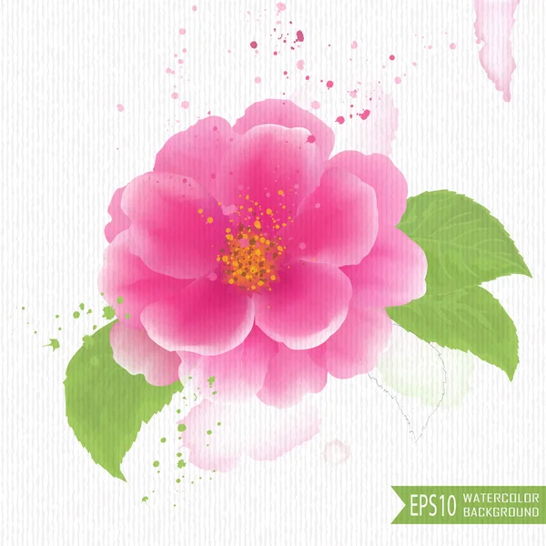 Mooie aquarel illustratie van bloemen — Stockvector