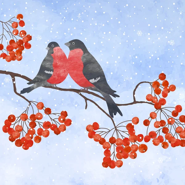 Carte d'hiver au bullfinch — Image vectorielle