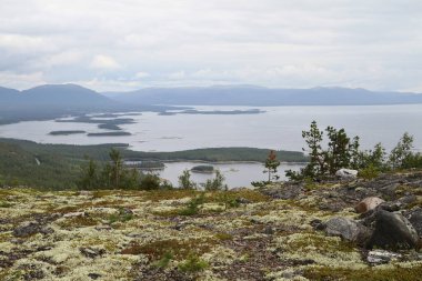 Kuzey doğası: Beyaz Deniz