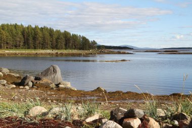 Kuzey doğası: Beyaz Deniz