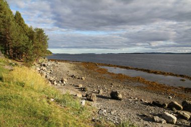 Kuzey doğası: Beyaz Deniz