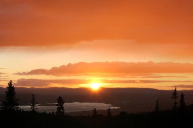 Kuzey doğası: Beyaz Deniz