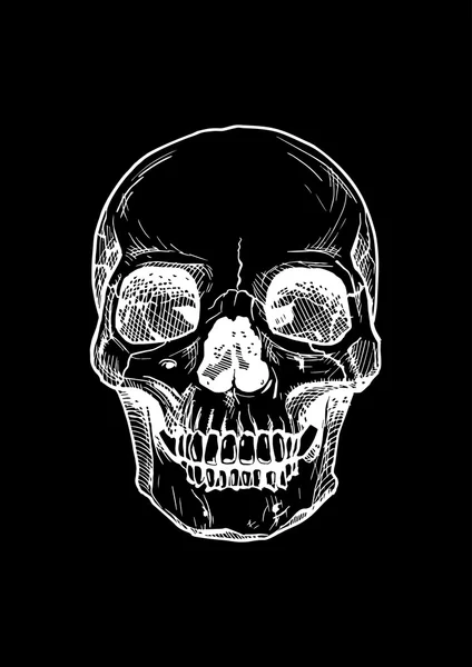 Cranio umano con mascella inferiore . — Vettoriale Stock