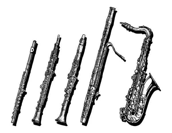 Träblåsare musikinstrument set — Stock vektor