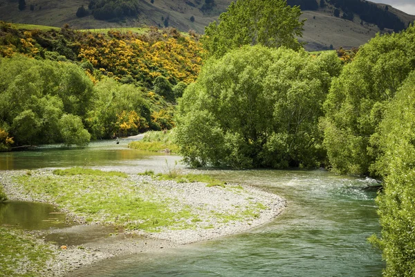 Vola pescatore nel fiume incontaminato della Nuova Zelanda . — Foto Stock