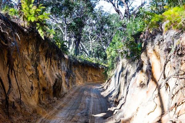 4Wd Pista Tallada Dunas Arena Moreton Island Australia — Foto de Stock