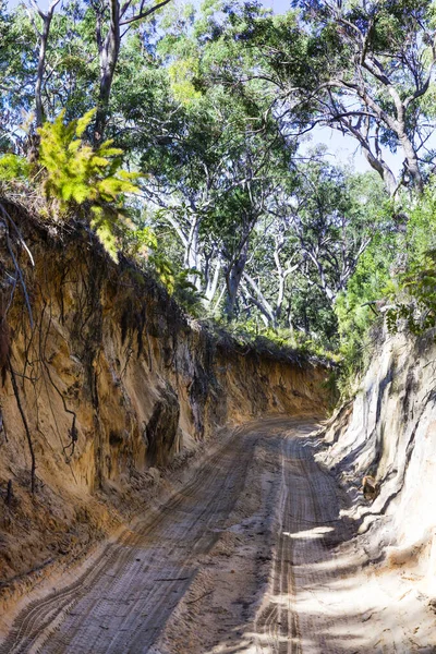 4Wd Track Carved Sand Dunes Moreton Island Australia — Stock Photo, Image