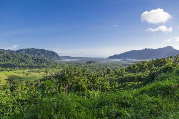 Tropické Samoa — Stock fotografie