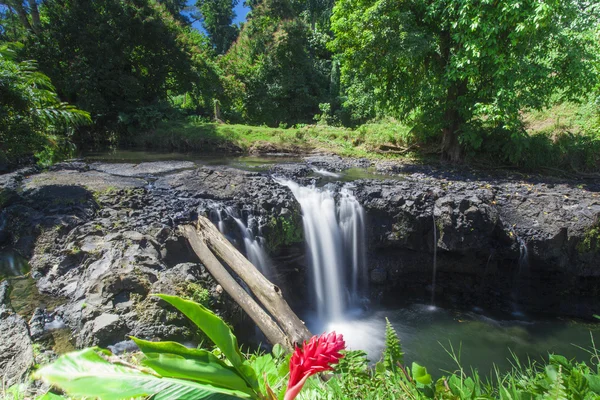 Tropické Samoa — Stock fotografie