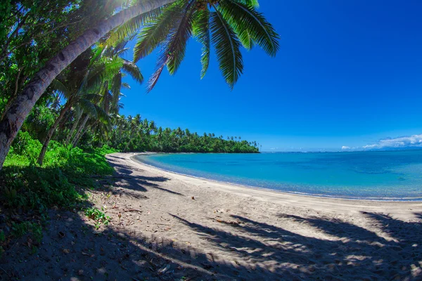 Tropical Samoa — Stock Photo, Image