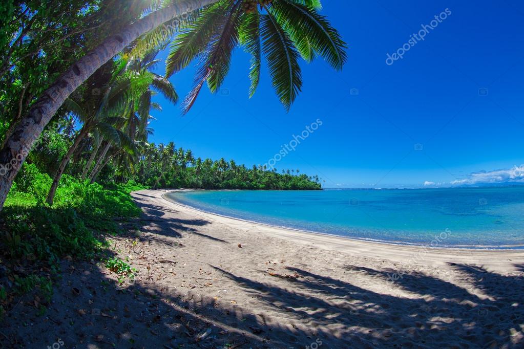 samoa #hashtag