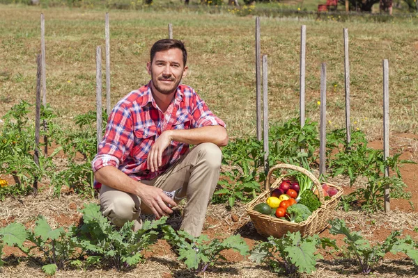 Agricultor biológico — Fotografia de Stock