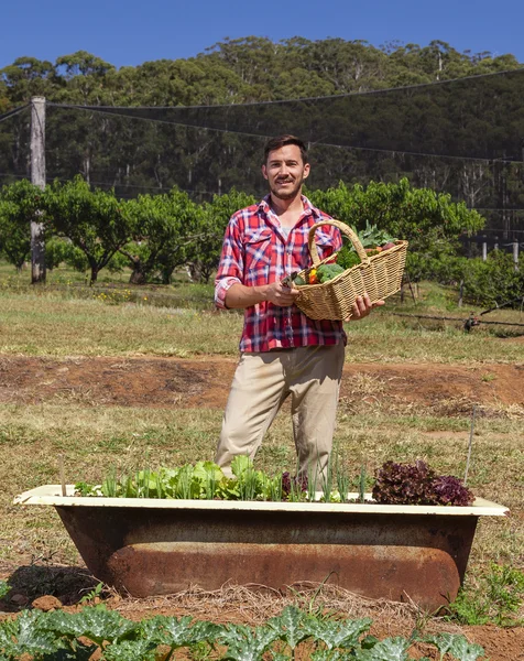 Agricultor biológico — Fotografia de Stock