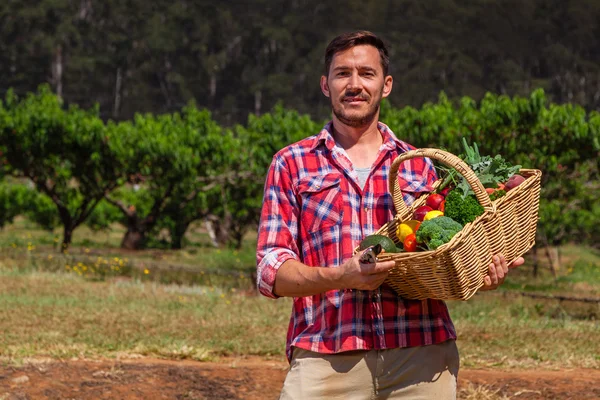 Agricoltore biologico — Foto Stock