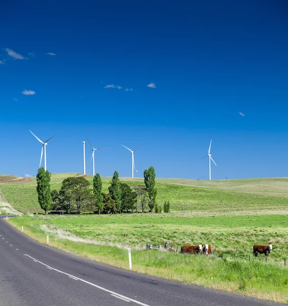 Wind turbines — Stock Photo, Image