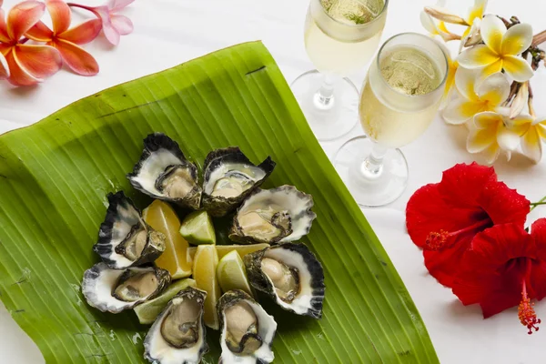 Oysters and champagne — Stock Photo, Image