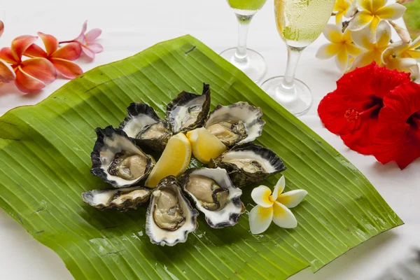 Oysters and champagne — Stock Photo, Image