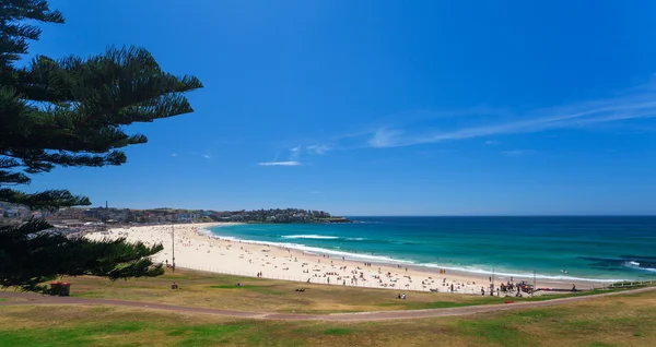 अद्भुत Bondi समुद्र तट में सिडनी — स्टॉक फ़ोटो, इमेज