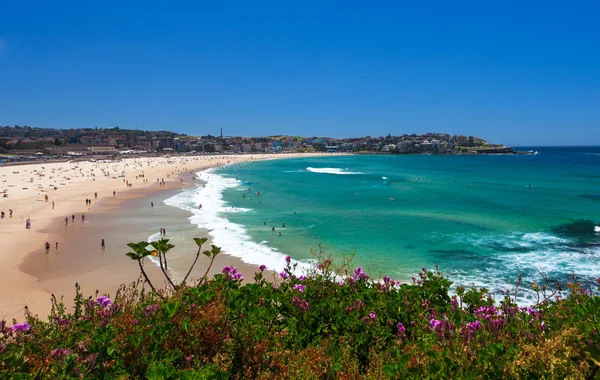 Niesamowite plaży Bondi w Sydney — Zdjęcie stockowe