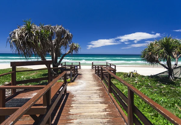 Gold Coast beach — Zdjęcie stockowe