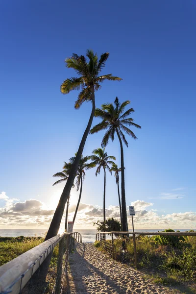 Caminho para a praia de Gold Coast — Fotografia de Stock